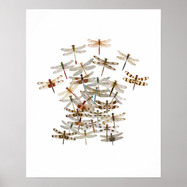 Dragonfly Swarm Poster (Front)