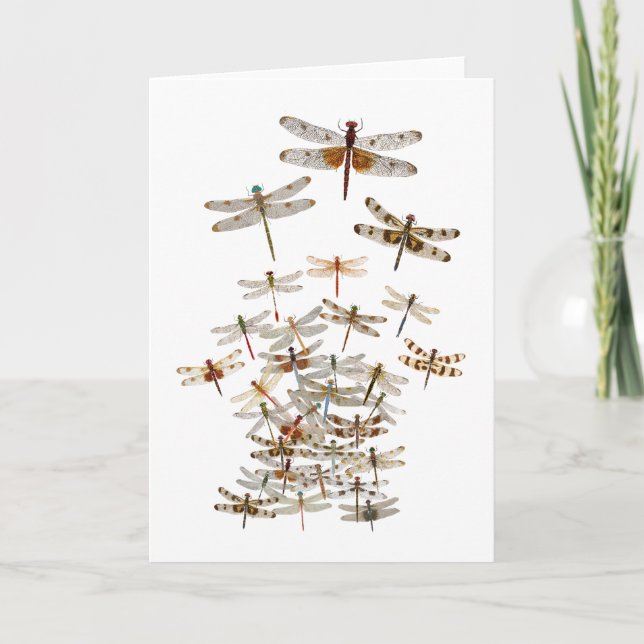 Dragonfly Swarming Card (Front)