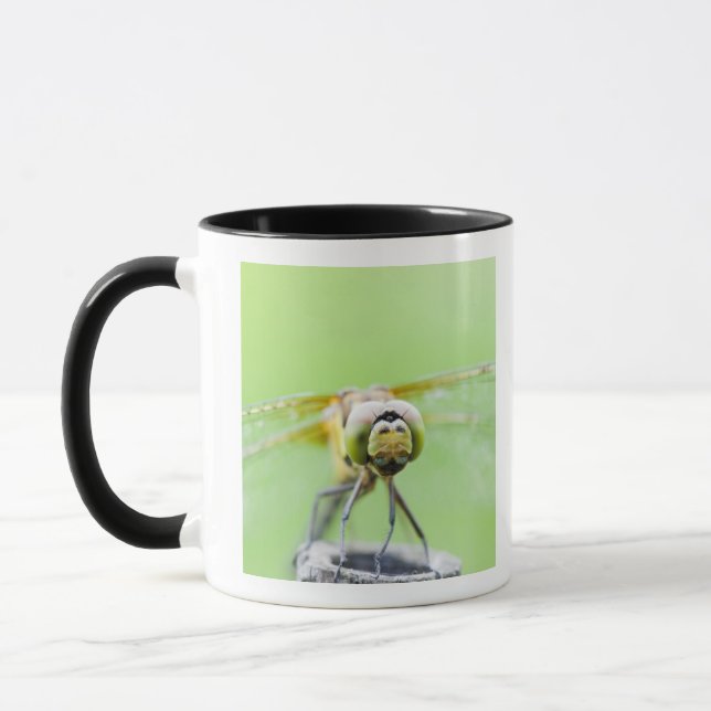 Dragonfly (Sympetrum infuscatum) Mug (Left)