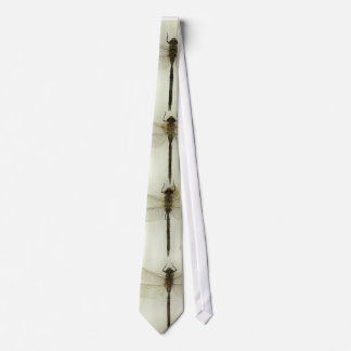 Dragonfly tie