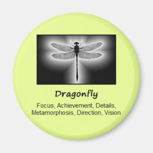 Dragonfly Totem Animal Spirit Meaning Magnet