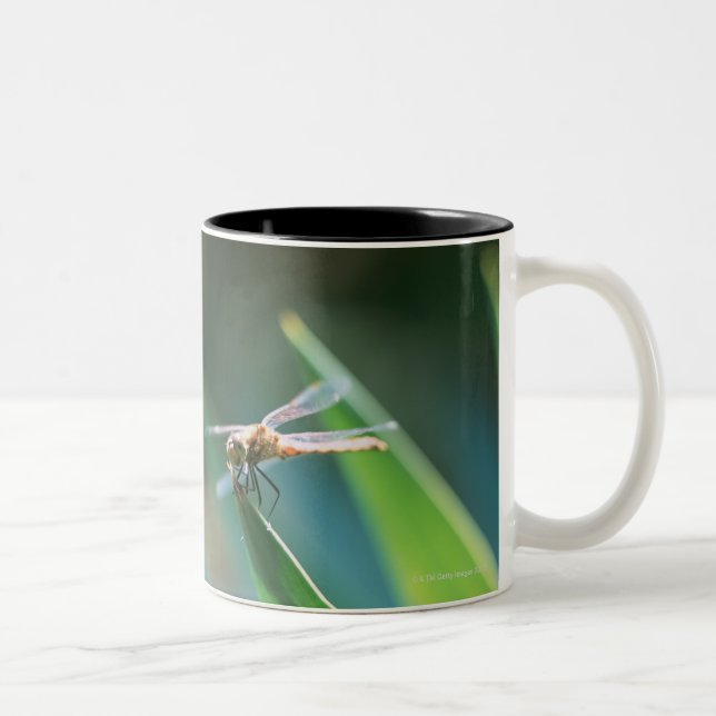 Dragonfly Two-Tone Coffee Mug (Right)