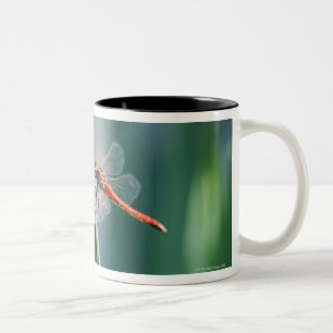 Dragonfly Two-Tone Coffee Mug