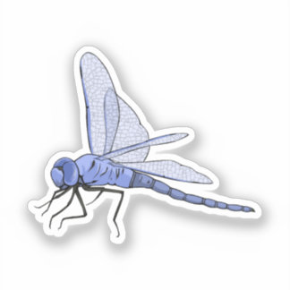 Dragonfly vector illustration