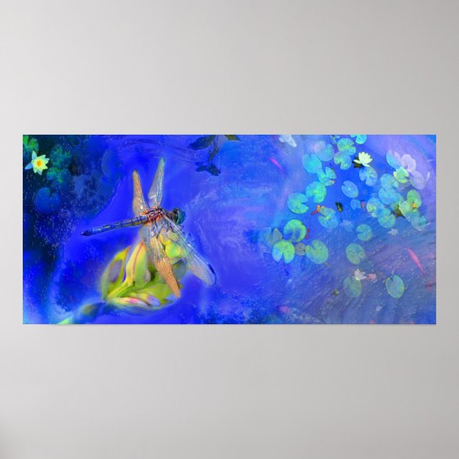 Dragonfly view , poster (Front)