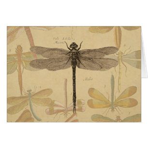 Dragonfly Vintage Antique Classic Nature