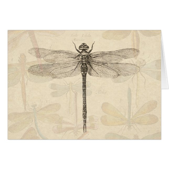 Dragonfly Vintage Antique Classic Nature (Front Horizontal)