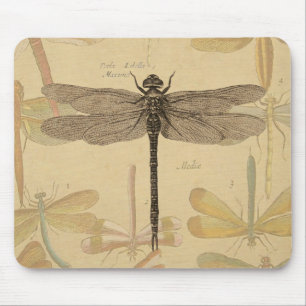 Dragonfly Vintage Antique Classic Nature Mouse Pad