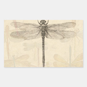 Dragonfly Vintage Antique Classic Nature Rectangular Sticker