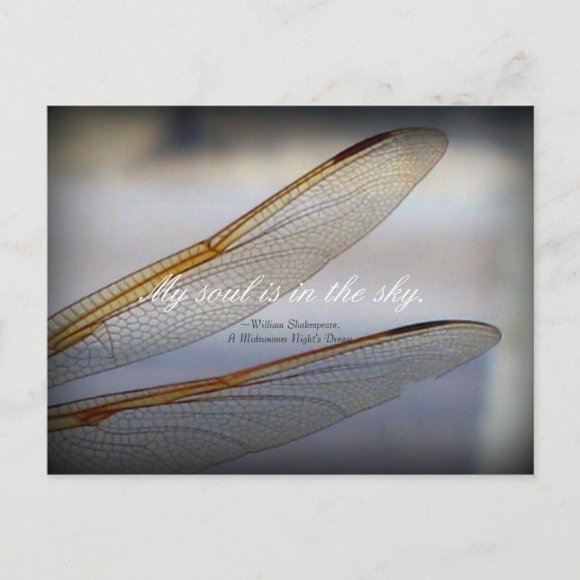 Dragonfly Wings Macro with Shakespeare Quote  Postcard (Front)