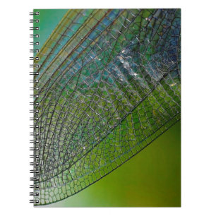 Dragonfly wings nature close insect notebook