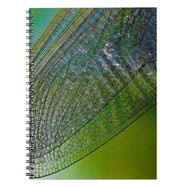 Dragonfly wings nature close insect notebook (Front)