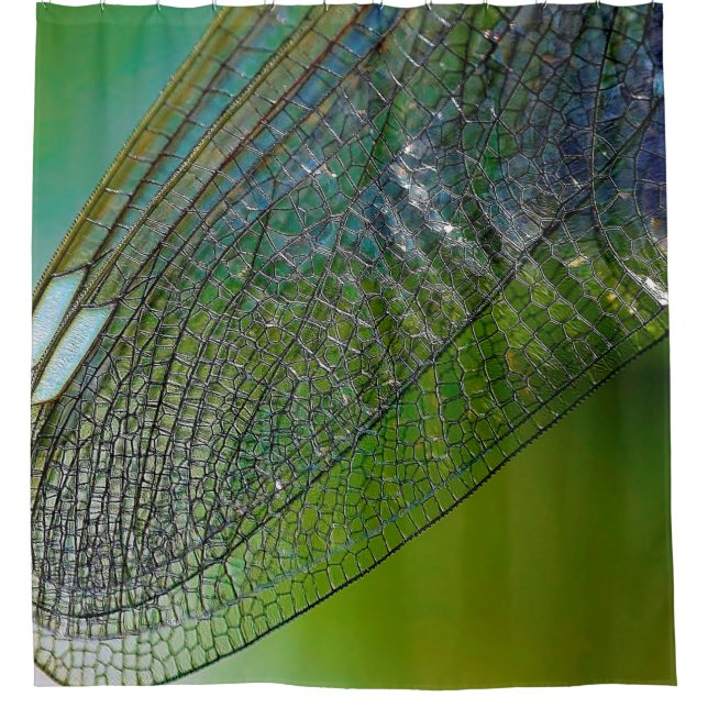 Dragonfly wings nature close insect shower curtain (Front)