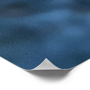 Dragonfly With Sunlight Gilded Wings Poster