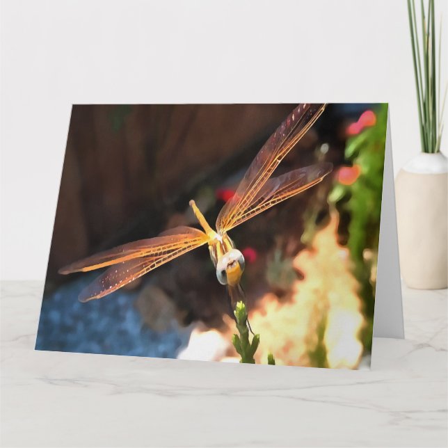Dragonfly With Sunlight Gilded Wings Thank You Card (Front)