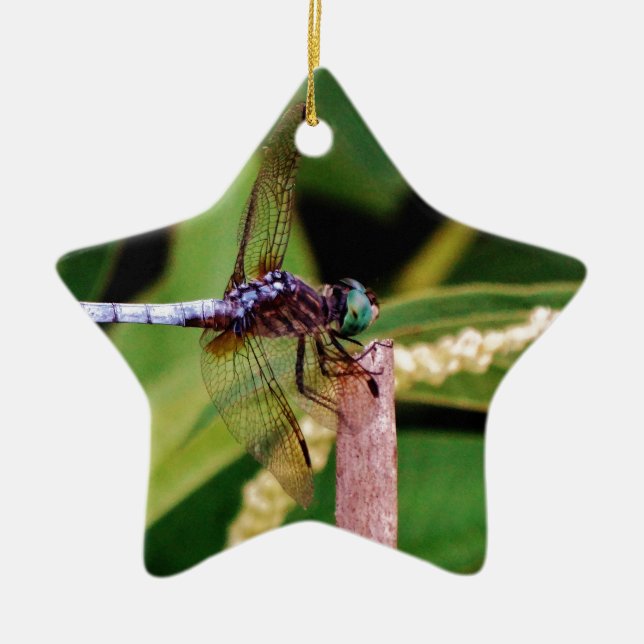 Dragonfly with white flowers ceramic ornament (Front)