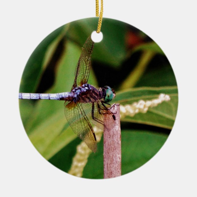 Dragonfly with white flowers ceramic ornament (Front)