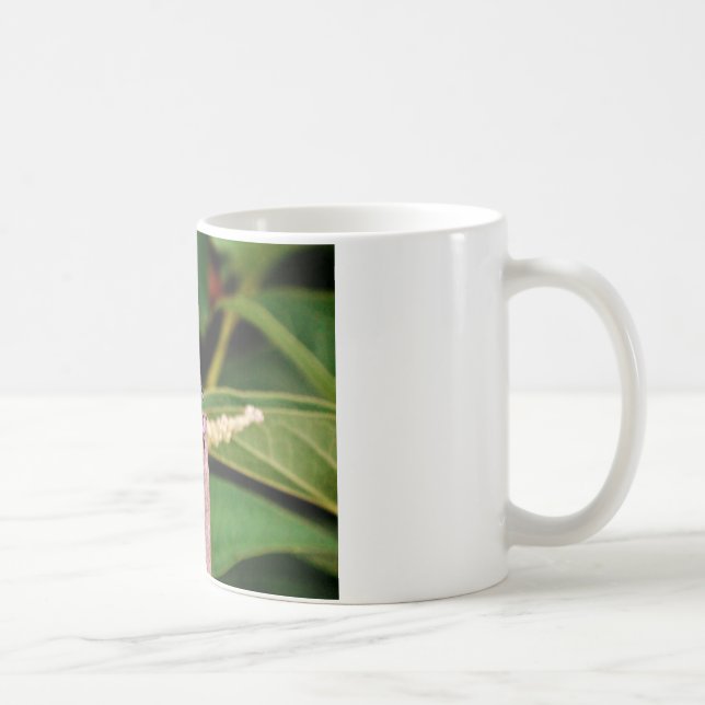Dragonfly with white flowers coffee mug (Right)