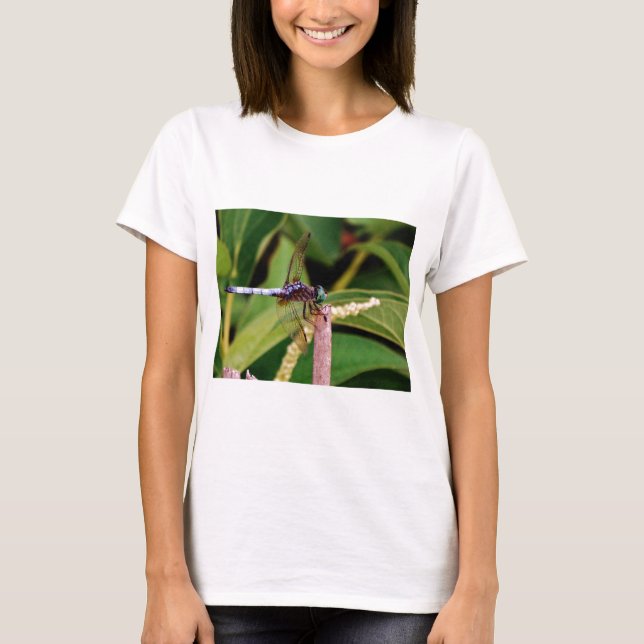 Dragonfly with white flowers T-Shirt (Front)
