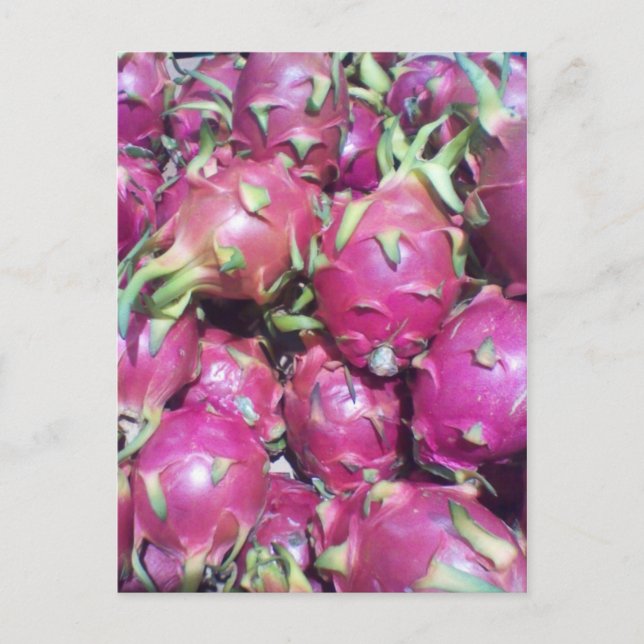 Dragonfruit postcard (Front)