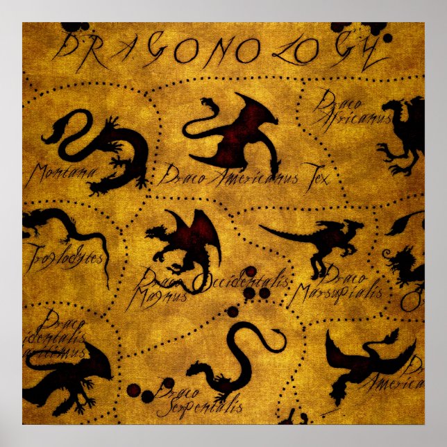 Dragonology 1 poster (Front)