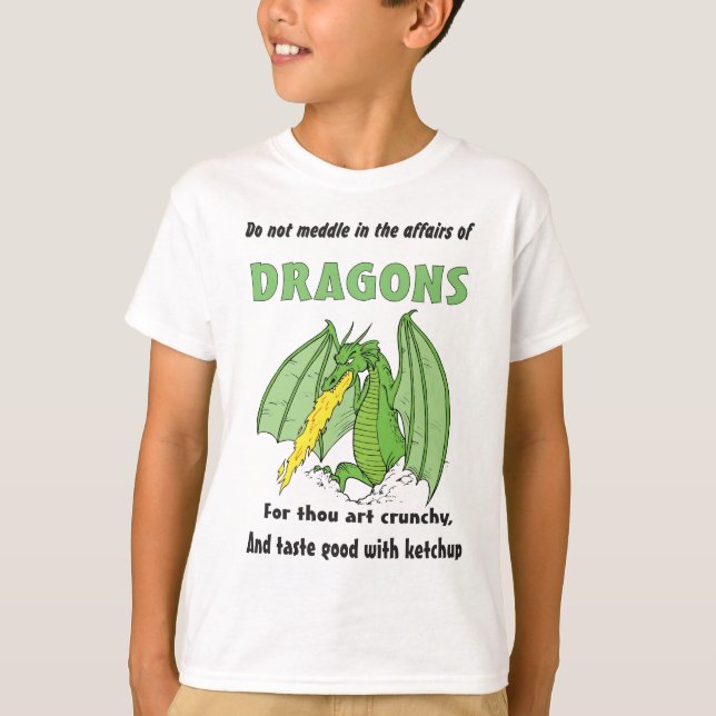 Dragons Do Not Meddle in Their Affairs T-Shirt (Front)