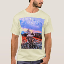 Dragonware and Kidtastic designs