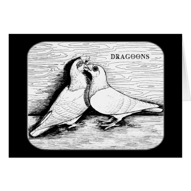 Dragoon Pigeons White Pair (Front Horizontal)