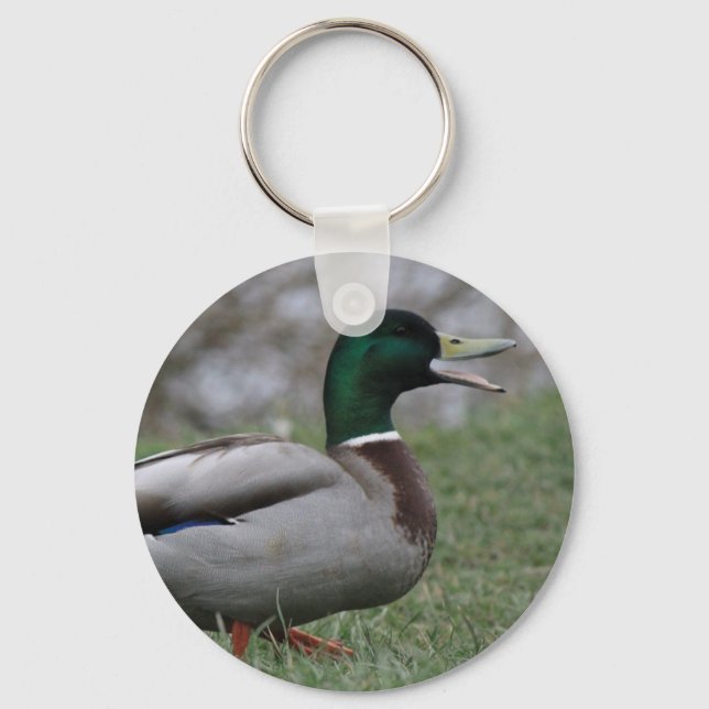 Drake Mallard Duck Key Ring (Front)