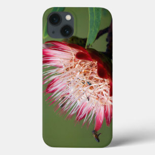 Drakensberg Sugarbush (Protea Dracomontana) iPhone 13 Case