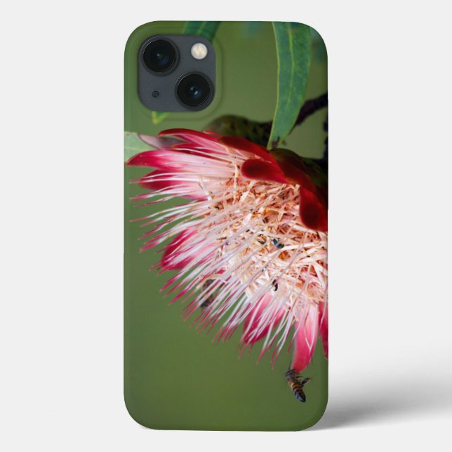 Drakensberg Sugarbush (Protea Dracomontana) Case-Mate iPhone Case (Back)