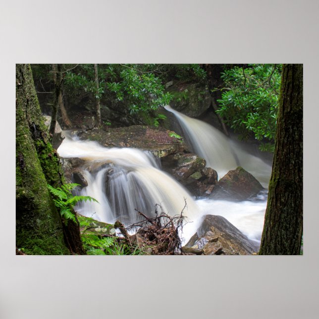 Drakes Creek Falls Poster (Front)