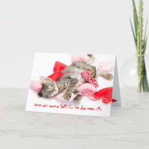 Drama kitten with catitude valentine holiday card