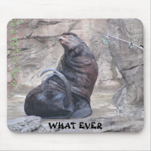 Drama Seal says "what ever" Mouse Pad