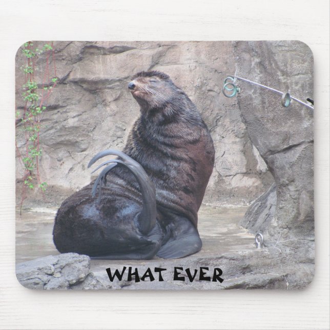 Drama Seal says "what ever" Mouse Pad (Front)
