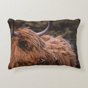 DRAMATIC AND MOODY LANDSCAPES INSPIRED BY THE NATU DECORATIVE CUSHION