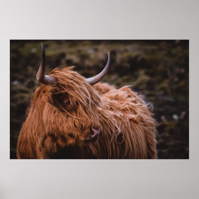 DRAMATIC AND MOODY LANDSCAPES INSPIRED BY THE NATU POSTER (Front)