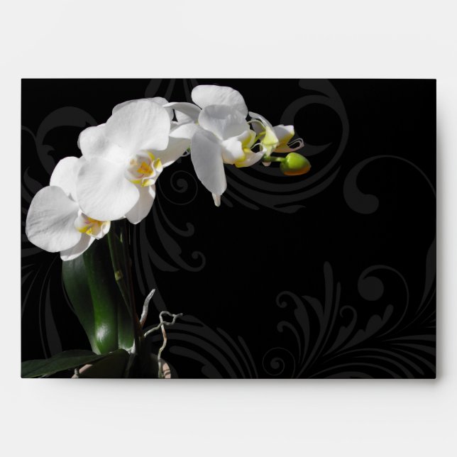 Dramatic Black and White Orchid Flower with Swirl Envelope (Front)