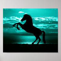 Dramatic Black Horse Teal Sky Peaceful