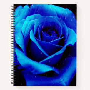 Dramatic Blue Rose  Notebook