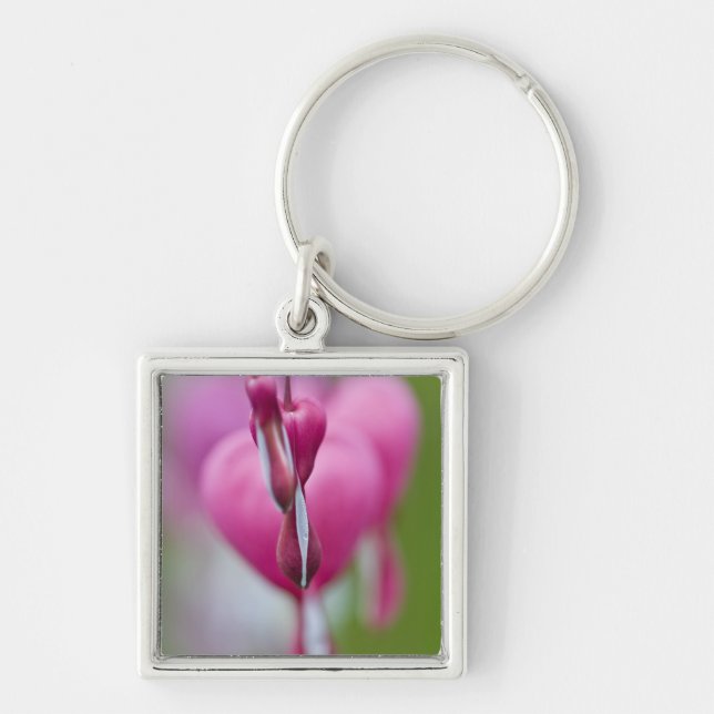Dramatic colour and shape of bleeding heart key ring (Front)