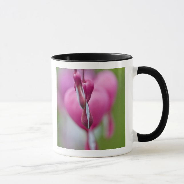 Dramatic colour and shape of bleeding heart mug (Right)
