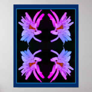 Dramatic Daisy Flower Abstract Tinted Poster