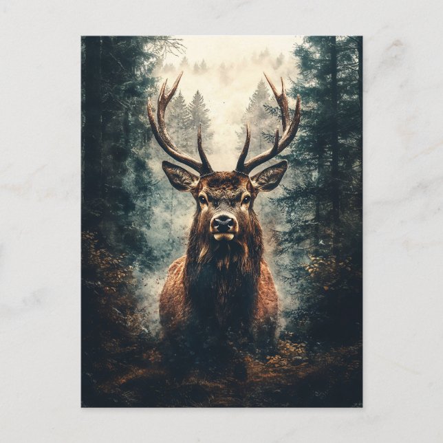 Dramatic Elk in the Woods Postcard (Front)
