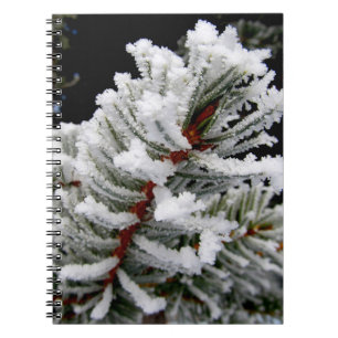 Dramatic Frosted Pine Branch Notebook