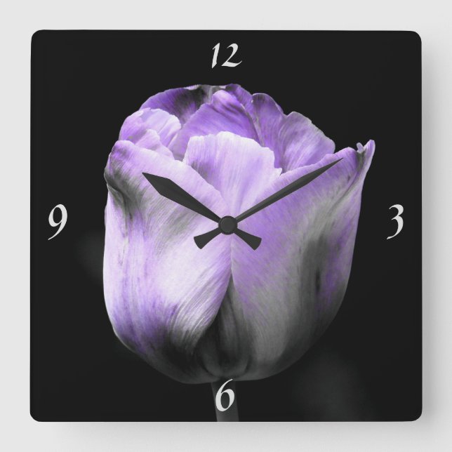 Dramatic Lavender Purple N Silver Tulip On Black Square Wall Clock (Front)