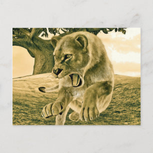 Dramatic Lioness Safari Wildlife Art Postcard