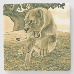 Dramatic Lioness Safari Wildlife Art Stone Coaster