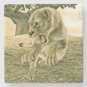 Dramatic Lioness Safari Wildlife Art Stone Coaster
