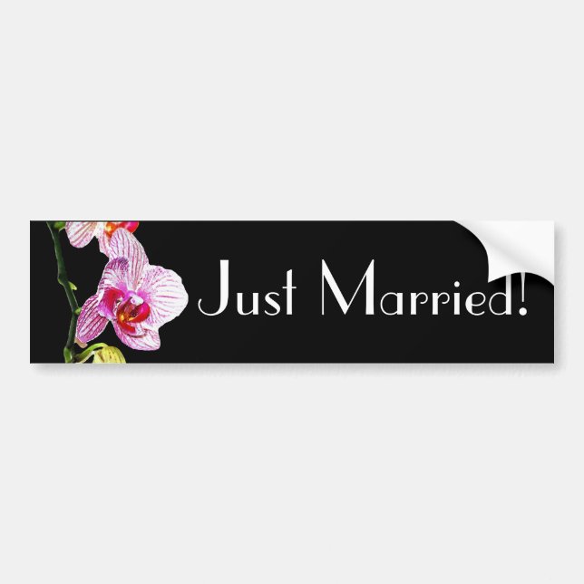 Dramatic Orchid - Just Married Bumper Sticker (Front)